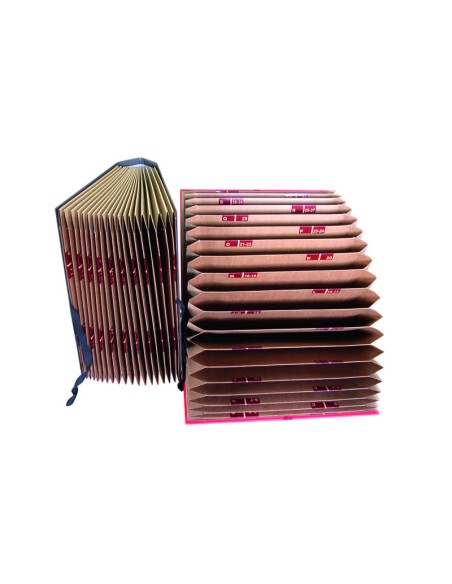 MAR CARPETA FUE Fº CINT AZ/1-31.RJ 09183